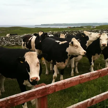 Pensión Journey's End Milltown Malbay