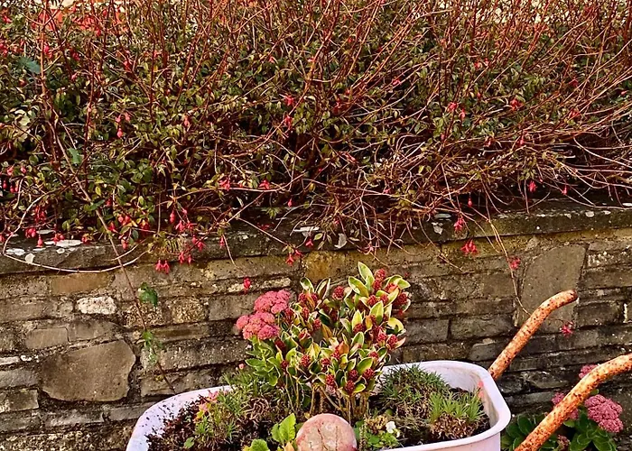 Journey's End Milltown Malbay