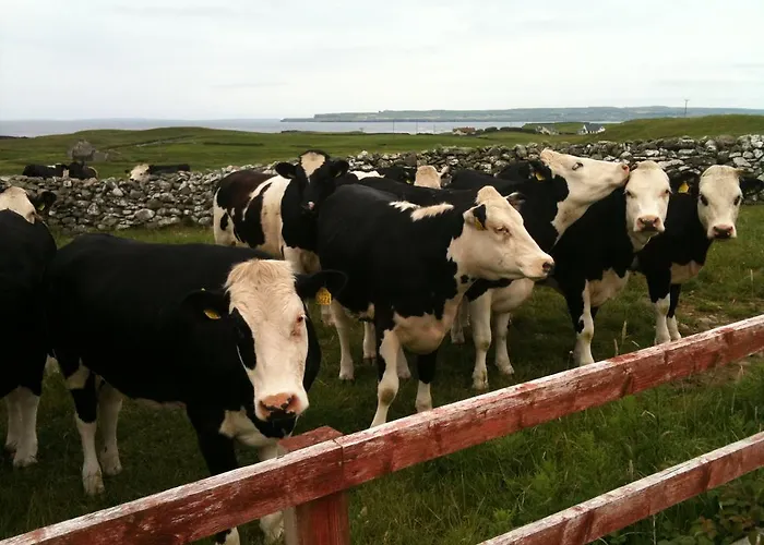 Konukevi Journey's End Milltown Malbay