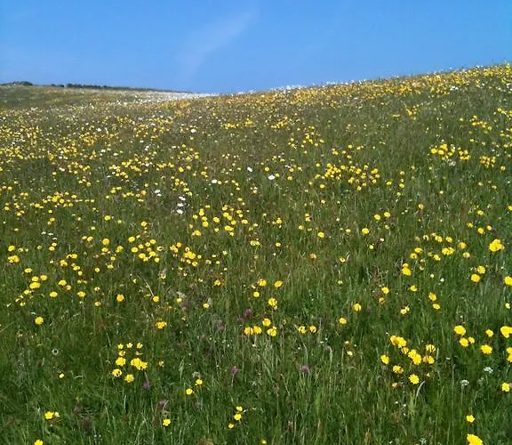 Konukevi Journey's End 3*